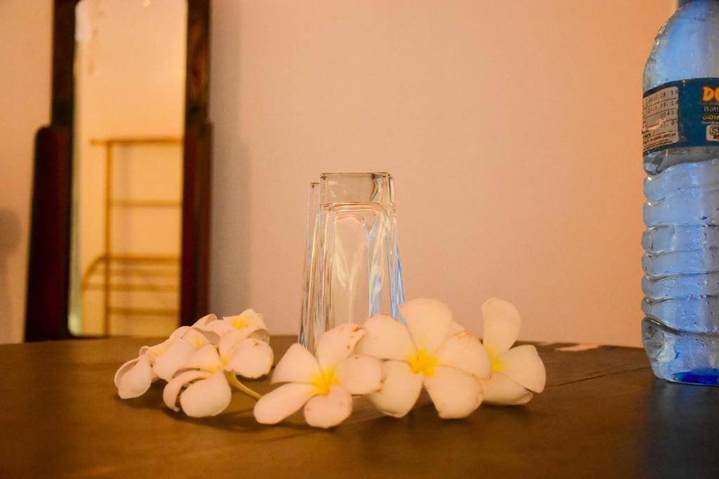 Turtles View Resort แทนกาลเล ภายนอก รูปภาพ