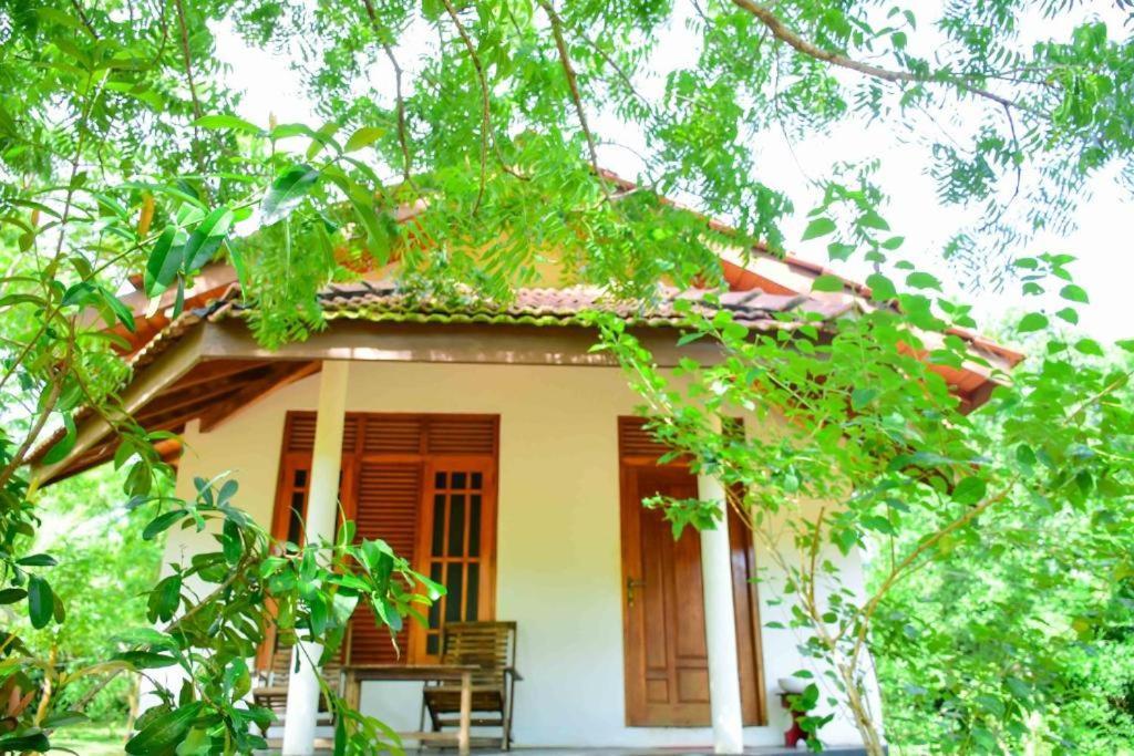 Turtles View Resort แทนกาลเล ภายนอก รูปภาพ