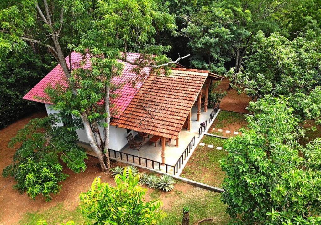 Turtles View Resort แทนกาลเล ภายนอก รูปภาพ