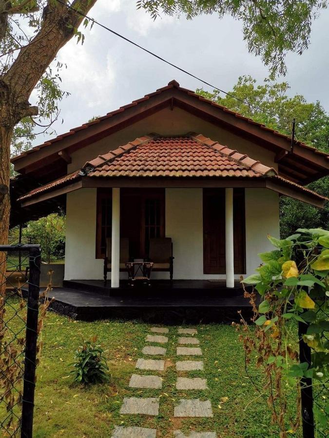Turtles View Resort แทนกาลเล ภายนอก รูปภาพ