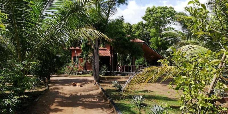 Turtles View Resort แทนกาลเล ภายนอก รูปภาพ